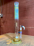 Large Head Banger g/p