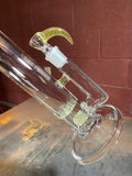 Nautilus nova