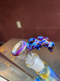 Nautilus 3/4 color